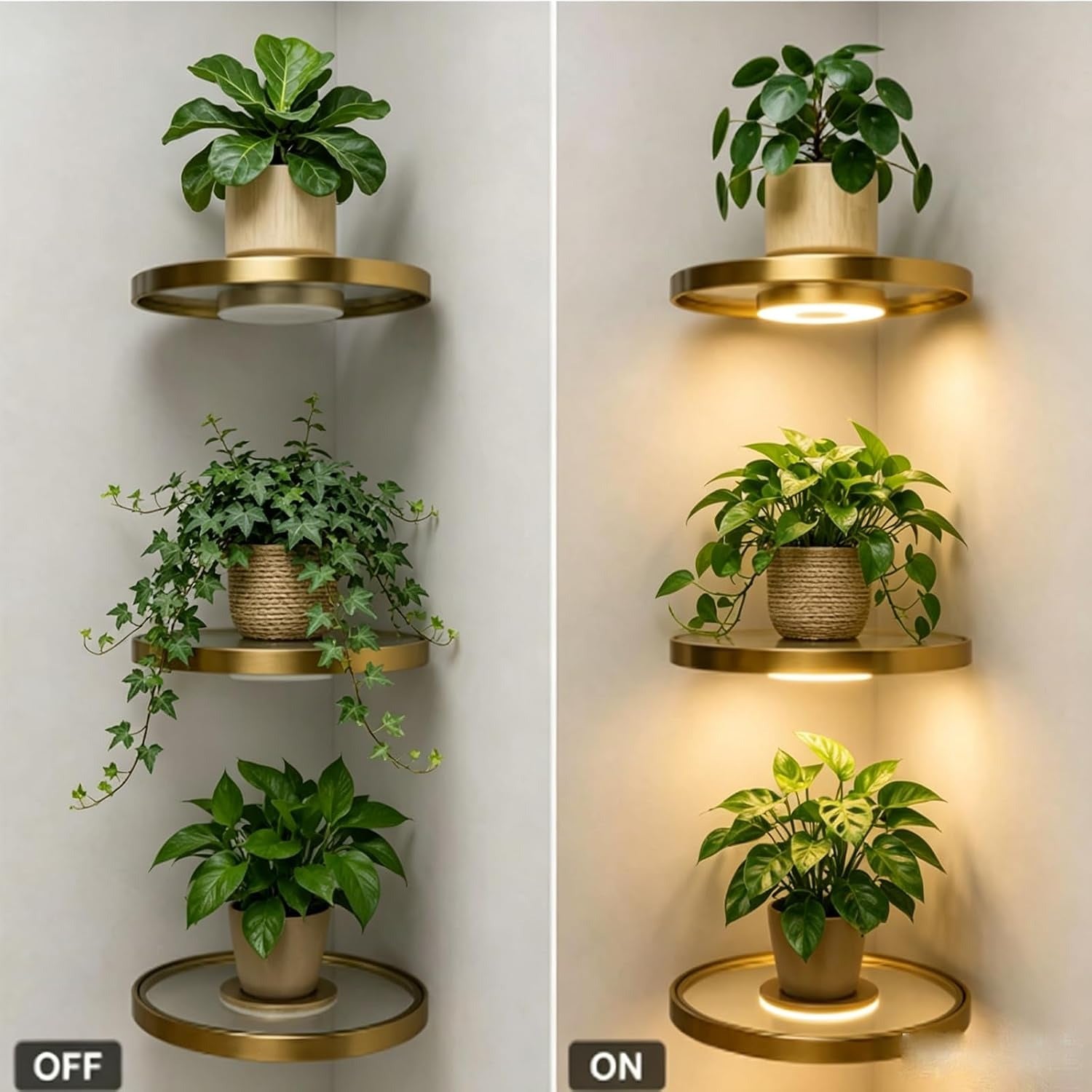 Cordless LED Shelf shown with the light off and on